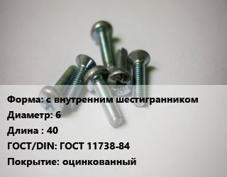 Винт с внутренним шестигранником 6х40 ГОСТ 11738-84 оцинкованный, 10.9,8.8, цена за шт,РМЗ,упаковка, кг цена от 146.93 Тг / кг, где купить, условия доставки в Алматы и Алматинской области